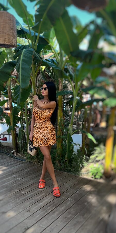 Alternative view of Rochie Wild Leopard